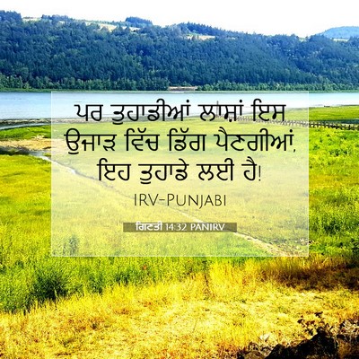 Picture 07 - ਗਿਣਤੀ 14:32 PANIRV - ਪਰ ਤੁਹਾਡੀਆਂ - Bible Verse Picture