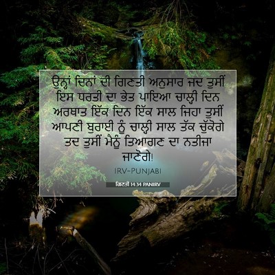 Picture 07 - ਗਿਣਤੀ 14:34 PANIRV - ਉਨ੍ਹਾਂ ਦਿਨਾਂ ਦੀ - Bible Verse Picture