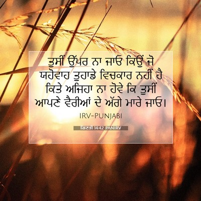 Picture 07 - ਗਿਣਤੀ 14:42 PANIRV - ਤੁਸੀਂ ਉੱਪਰ ਨਾ ਜਾਓ - Bible Verse Picture