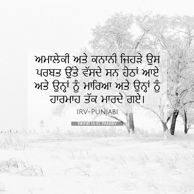 Picture 07 - ਗਿਣਤੀ 14:45 PANIRV - ਅਮਾਲੇਕੀ ਅਤੇ ਕਨਾਨੀ - Bible Verse Picture