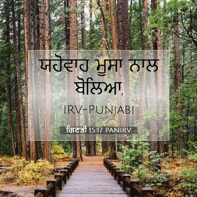 Picture 07 - ਗਿਣਤੀ 15:17 PANIRV - ਯਹੋਵਾਹ ਮੂਸਾ ਨਾਲ - Bible Verse Picture