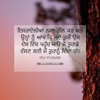 Picture 07 - ਗਿਣਤੀ 15:2 PANIRV - ਇਸਰਾਏਲੀਆਂ ਨਾਲ ਗੱਲ - Bible Verse Picture