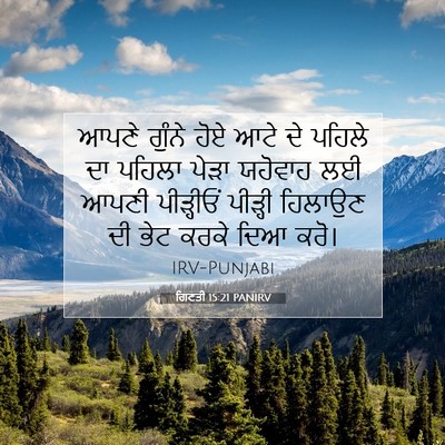 Picture 07 - ਗਿਣਤੀ 15:21 PANIRV - ਆਪਣੇ ਗੁੰਨੇ ਹੋਏ ਆਟੇ - Bible Verse Picture