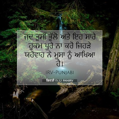 Picture 07 - ਗਿਣਤੀ 15:22 PANIRV - ਜਦ ਤੁਸੀਂ ਭੁੱਲੋ ਅਤੇ - Bible Verse Picture