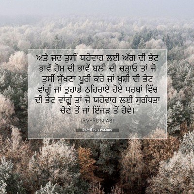 Picture 07 - ਗਿਣਤੀ 15:3 PANIRV - ਅਤੇ ਜਦ ਤੁਸੀਂ - Bible Verse Picture