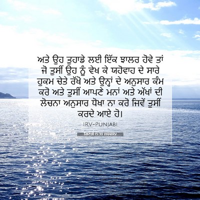 Picture 07 - ਗਿਣਤੀ 15:39 PANIRV - ਅਤੇ ਉਹ ਤੁਹਾਡੇ ਲਈ - Bible Verse Picture