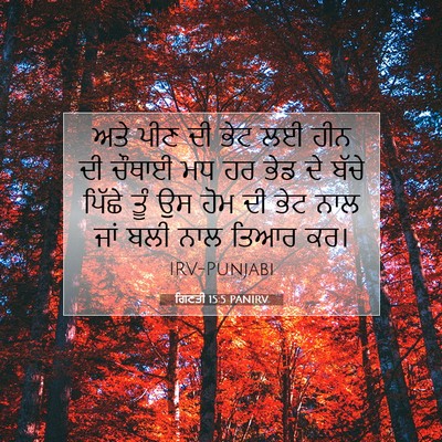 Picture 07 - ਗਿਣਤੀ 15:5 PANIRV - ਅਤੇ ਪੀਣ ਦੀ ਭੇਟ ਲਈ - Bible Verse Picture