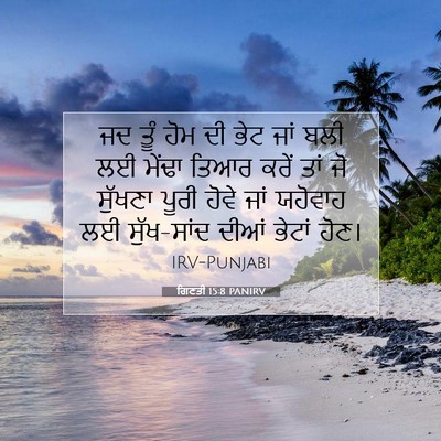 Picture 07 - ਗਿਣਤੀ 15:8 PANIRV - ਜਦ ਤੂੰ ਹੋਮ ਦੀ ਭੇਟ - Bible Verse Picture