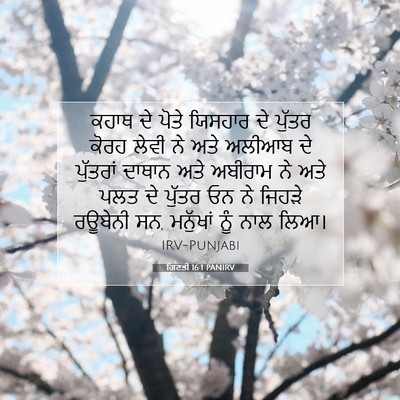Picture 07 - ਗਿਣਤੀ 16:1 PANIRV - ਕਹਾਥ ਦੇ ਪੋਤੇ - Bible Verse Picture