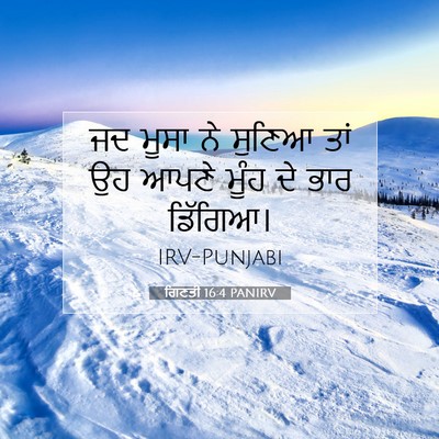 Picture 07 - ਗਿਣਤੀ 16:4 PANIRV - ਜਦ ਮੂਸਾ ਨੇ ਸੁਣਿਆ - Bible Verse Picture