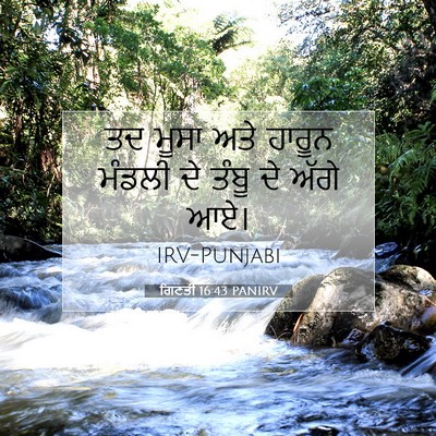 Picture 07 - ਗਿਣਤੀ 16:43 PANIRV - ਤਦ ਮੂਸਾ ਅਤੇ ਹਾਰੂਨ - Bible Verse Picture