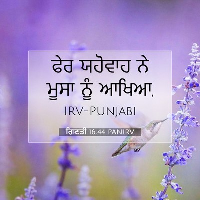 Picture 07 - ਗਿਣਤੀ 16:44 PANIRV - ਫੇਰ ਯਹੋਵਾਹ ਨੇ ਮੂਸਾ - Bible Verse Picture