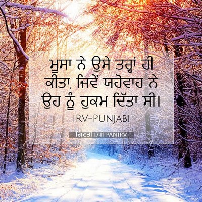 Picture 07 - ਗਿਣਤੀ 17:11 PANIRV - ਮੂਸਾ ਨੇ ਉਸੇ ਤਰ੍ਹਾਂ - Bible Verse Picture