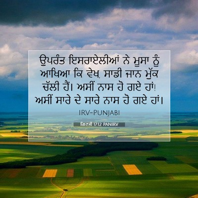 Picture 07 - ਗਿਣਤੀ 17:12 PANIRV - ਉਪਰੰਤ ਇਸਰਾਏਲੀਆਂ - Bible Verse Picture