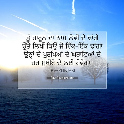 Picture 07 - ਗਿਣਤੀ 17:3 PANIRV - ਤੂੰ ਹਾਰੂਨ ਦਾ ਨਾਮ - Bible Verse Picture