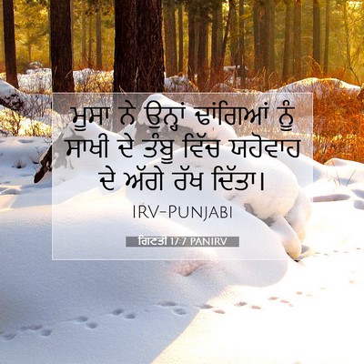 Picture 07 - ਗਿਣਤੀ 17:7 PANIRV - ਮੂਸਾ ਨੇ ਉਨ੍ਹਾਂ - Bible Verse Picture