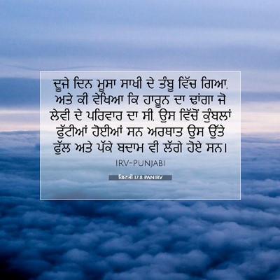 Picture 07 - ਗਿਣਤੀ 17:8 PANIRV - ਦੂਜੇ ਦਿਨ ਮੂਸਾ ਸਾਖੀ - Bible Verse Picture