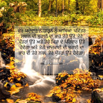 Picture 07 - ਗਿਣਤੀ 18:1 PANIRV - ਫੇਰ ਯਹੋਵਾਹ ਨੇ - Bible Verse Picture