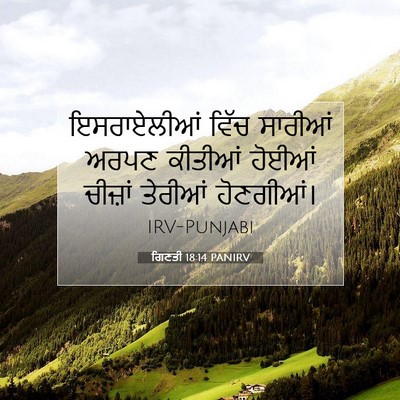 Picture 07 - ਗਿਣਤੀ 18:14 PANIRV - ਇਸਰਾਏਲੀਆਂ ਵਿੱਚ - Bible Verse Picture