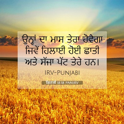 Picture 07 - ਗਿਣਤੀ 18:18 PANIRV - ਉਨ੍ਹਾਂ ਦਾ ਮਾਸ ਤੇਰਾ - Bible Verse Picture