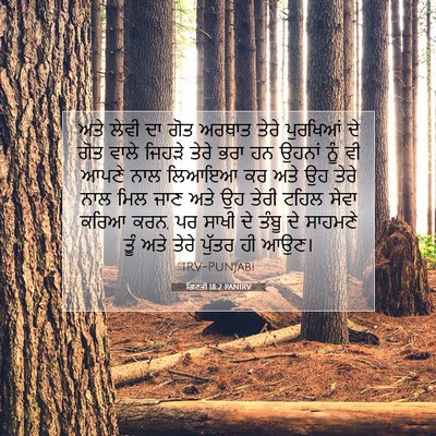 Picture 07 - ਗਿਣਤੀ 18:2 PANIRV - ਅਤੇ ਲੇਵੀ ਦਾ ਗੋਤ - Bible Verse Picture