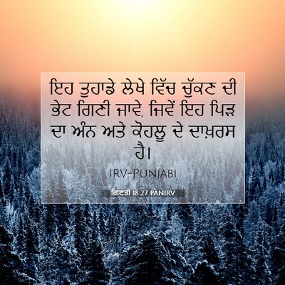 Picture 07 - ਗਿਣਤੀ 18:27 PANIRV - ਇਹ ਤੁਹਾਡੇ ਲੇਖੇ - Bible Verse Picture