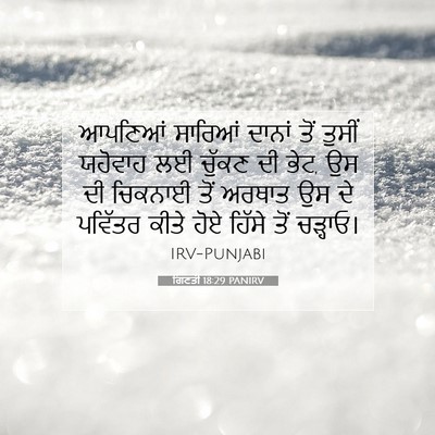 Picture 07 - ਗਿਣਤੀ 18:29 PANIRV - ਆਪਣਿਆਂ ਸਾਰਿਆਂ - Bible Verse Picture