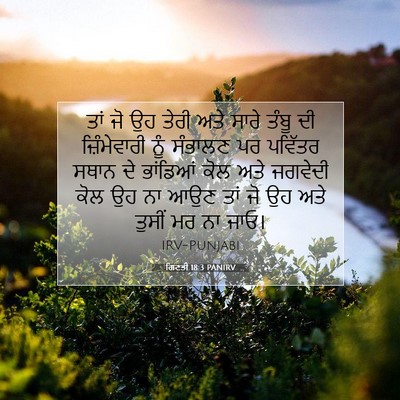 Picture 07 - ਗਿਣਤੀ 18:3 PANIRV - ਤਾਂ ਜੋ ਉਹ ਤੇਰੀ ਅਤੇ - Bible Verse Picture