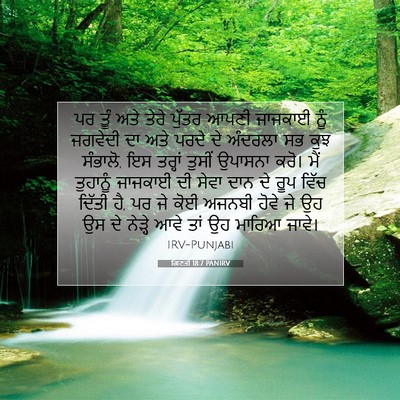 Picture 07 - ਗਿਣਤੀ 18:7 PANIRV - ਪਰ ਤੂੰ ਅਤੇ ਤੇਰੇ - Bible Verse Picture