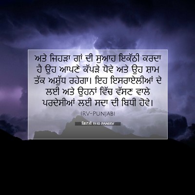 Picture 07 - ਗਿਣਤੀ 19:10 PANIRV - ਅਤੇ ਜਿਹੜਾ ਗਾਂ ਦੀ - Bible Verse Picture
