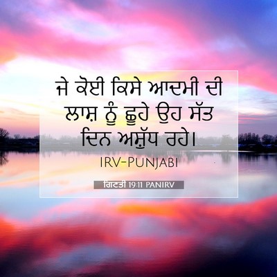 Picture 07 - ਗਿਣਤੀ 19:11 PANIRV - ਜੇ ਕੋਈ ਕਿਸੇ ਆਦਮੀ ਦੀ - Bible Verse Picture