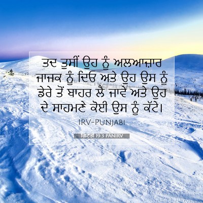 Picture 07 - ਗਿਣਤੀ 19:3 PANIRV - ਤਦ ਤੁਸੀਂ ਉਹ ਨੂੰ - Bible Verse Picture