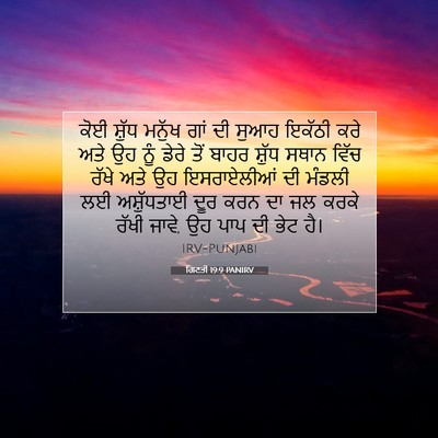 Picture 07 - ਗਿਣਤੀ 19:9 PANIRV - ਕੋਈ ਸ਼ੁੱਧ ਮਨੁੱਖ - Bible Verse Picture