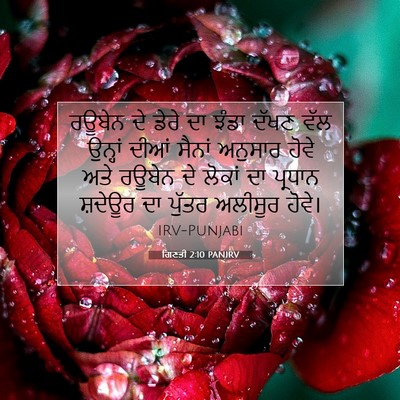 Picture 07 - ਗਿਣਤੀ 2:10 PANIRV - ਰਊਬੇਨ ਦੇ ਡੇਰੇ ਦਾ - Bible Verse Picture