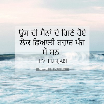 Picture 07 - ਗਿਣਤੀ 2:11 PANIRV - ਉਸ ਦੀ ਸੈਨਾਂ ਦੇ ਗਿਣੇ - Bible Verse Picture