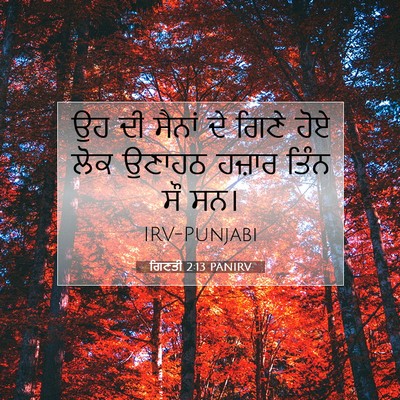 Picture 07 - ਗਿਣਤੀ 2:13 PANIRV - ਉਹ ਦੀ ਸੈਨਾਂ ਦੇ ਗਿਣੇ - Bible Verse Picture