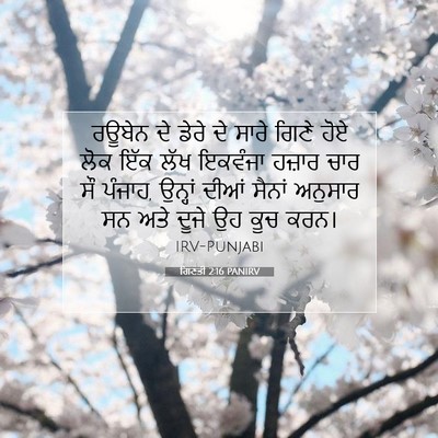 Picture 07 - ਗਿਣਤੀ 2:16 PANIRV - ਰਊਬੇਨ ਦੇ ਡੇਰੇ ਦੇ - Bible Verse Picture
