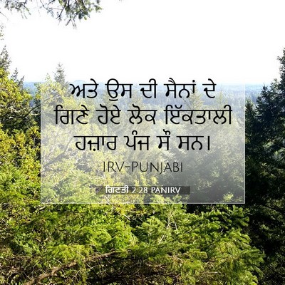 Picture 07 - ਗਿਣਤੀ 2:28 PANIRV - ਅਤੇ ਉਸ ਦੀ ਸੈਨਾਂ ਦੇ - Bible Verse Picture