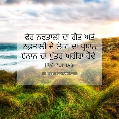 Picture 07 - ਗਿਣਤੀ 2:29 PANIRV - ਫੇਰ ਨਫ਼ਤਾਲੀ ਦਾ ਗੋਤ - Bible Verse Picture