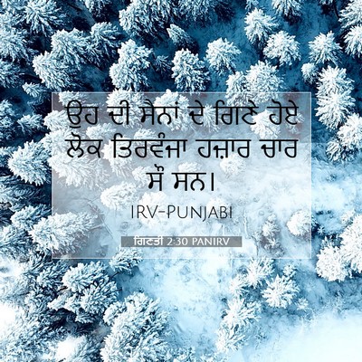 Picture 07 - ਗਿਣਤੀ 2:30 PANIRV - ਉਹ ਦੀ ਸੈਨਾਂ ਦੇ ਗਿਣੇ - Bible Verse Picture