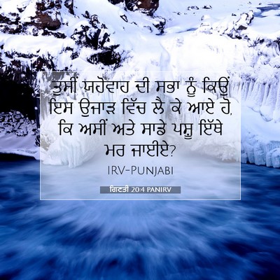 Picture 07 - ਗਿਣਤੀ 20:4 PANIRV - ਤੁਸੀਂ ਯਹੋਵਾਹ ਦੀ - Bible Verse Picture