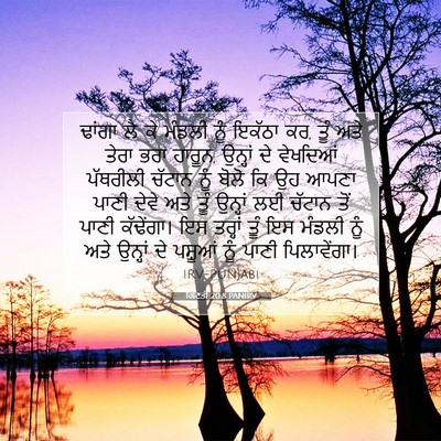 Picture 07 - ਗਿਣਤੀ 20:8 PANIRV - ਢਾਂਗਾ ਲੈ ਕੇ ਮੰਡਲੀ - Bible Verse Picture