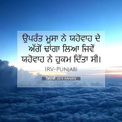 Picture 07 - ਗਿਣਤੀ 20:9 PANIRV - ਉਪਰੰਤ ਮੂਸਾ ਨੇ - Bible Verse Picture