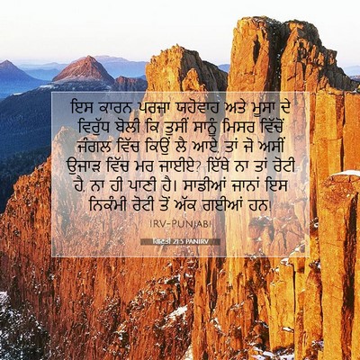 Picture 07 - ਗਿਣਤੀ 21:5 PANIRV - ਇਸ ਕਾਰਨ ਪਰਜਾ - Bible Verse Picture