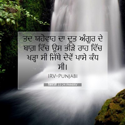 Picture 07 - ਗਿਣਤੀ 22:24 PANIRV - ਤਦ ਯਹੋਵਾਹ ਦਾ ਦੂਤ - Bible Verse Picture