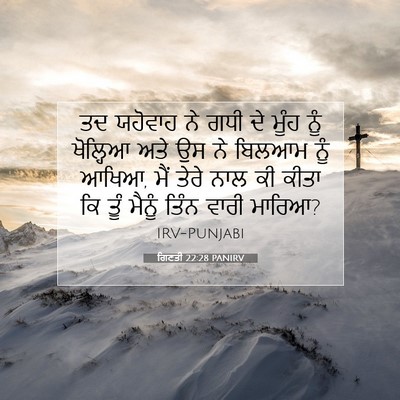 Picture 07 - ਗਿਣਤੀ 22:28 PANIRV - ਤਦ ਯਹੋਵਾਹ ਨੇ ਗਧੀ ਦੇ - Bible Verse Picture