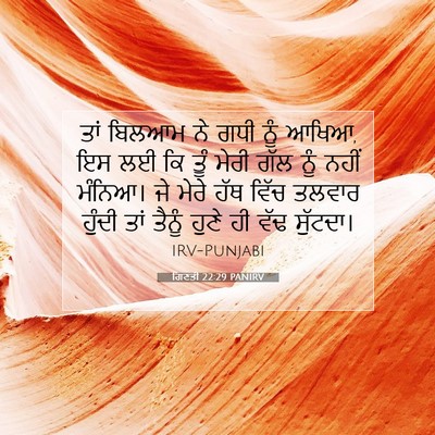 Picture 07 - ਗਿਣਤੀ 22:29 PANIRV - ਤਾਂ ਬਿਲਆਮ ਨੇ ਗਧੀ - Bible Verse Picture