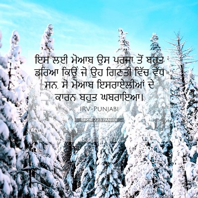 Picture 07 - ਗਿਣਤੀ 22:3 PANIRV - ਇਸ ਲਈ ਮੋਆਬ ਉਸ ਪਰਜਾ - Bible Verse Picture