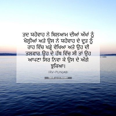 Picture 07 - ਗਿਣਤੀ 22:31 PANIRV - ਤਦ ਯਹੋਵਾਹ ਨੇ ਬਿਲਆਮ - Bible Verse Picture