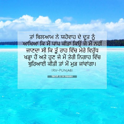 Picture 07 - ਗਿਣਤੀ 22:34 PANIRV - ਤਾਂ ਬਿਲਆਮ ਨੇ - Bible Verse Picture